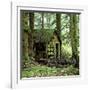 Rotting Wooden Shed Covered in Moss, Washington State, Usa-Mark Taylor-Framed Photographic Print