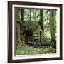 Rotting Wooden Shed Covered in Moss, Washington State, Usa-Mark Taylor-Framed Photographic Print