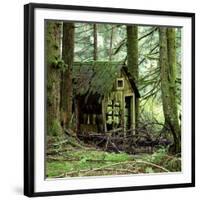 Rotting Wooden Shed Covered in Moss, Washington State, Usa-Mark Taylor-Framed Photographic Print
