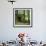 Rotting Wooden Shed Covered in Moss, Washington State, Usa-Mark Taylor-Framed Photographic Print displayed on a wall