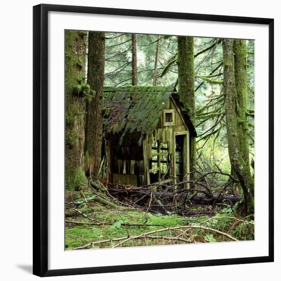 Rotting Wooden Shed Covered in Moss, Washington State, Usa-Mark Taylor-Framed Photographic Print