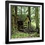 Rotting Wooden Shed Covered in Moss, Washington State, Usa-Mark Taylor-Framed Photographic Print