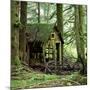 Rotting Wooden Shed Covered in Moss, Washington State, Usa-Mark Taylor-Mounted Photographic Print