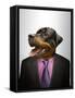 Rottweiler Dog Dressed Up As Formal Business Man-Nosnibor137-Framed Stretched Canvas