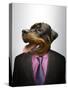 Rottweiler Dog Dressed Up As Formal Business Man-Nosnibor137-Stretched Canvas