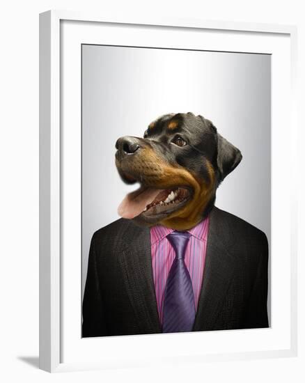 Rottweiler Dog Dressed Up As Formal Business Man-Nosnibor137-Framed Photographic Print