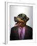 Rottweiler Dog Dressed Up As Formal Business Man-Nosnibor137-Framed Photographic Print