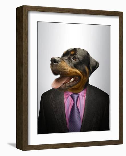Rottweiler Dog Dressed Up As Formal Business Man-Nosnibor137-Framed Photographic Print