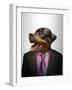 Rottweiler Dog Dressed Up As Formal Business Man-Nosnibor137-Framed Photographic Print