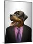Rottweiler Dog Dressed Up As Formal Business Man-Nosnibor137-Mounted Photographic Print