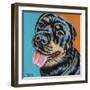 Rottweiler I-Carolee Vitaletti-Framed Art Print