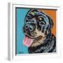 Rottweiler I-Carolee Vitaletti-Framed Art Print