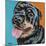 Rottweiler I-Carolee Vitaletti-Mounted Art Print