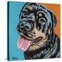 Rottweiler I-Carolee Vitaletti-Stretched Canvas