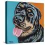 Rottweiler I-Carolee Vitaletti-Stretched Canvas