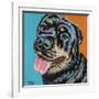 Rottweiler I-Carolee Vitaletti-Framed Art Print