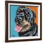 Rottweiler I-Carolee Vitaletti-Framed Art Print