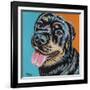 Rottweiler I-Carolee Vitaletti-Framed Art Print