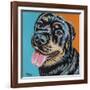 Rottweiler I-Carolee Vitaletti-Framed Art Print