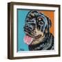 Rottweiler I-Carolee Vitaletti-Framed Art Print