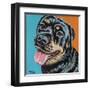 Rottweiler I-Carolee Vitaletti-Framed Art Print