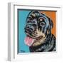 Rottweiler I-Carolee Vitaletti-Framed Art Print