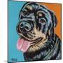 Rottweiler I-Carolee Vitaletti-Mounted Art Print