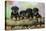 Rottweiler Puppies in a Row Looking over Log-null-Stretched Canvas