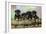 Rottweiler Puppies in a Row Looking over Log-null-Framed Photographic Print