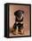 Rottweiler Puppy-Jim Craigmyle-Framed Stretched Canvas