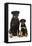 Rottweiler Sitting Next to Rottweiler Puppy-null-Framed Stretched Canvas