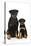 Rottweiler Sitting Next to Rottweiler Puppy-null-Stretched Canvas