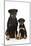 Rottweiler Sitting Next to Rottweiler Puppy-null-Mounted Photographic Print