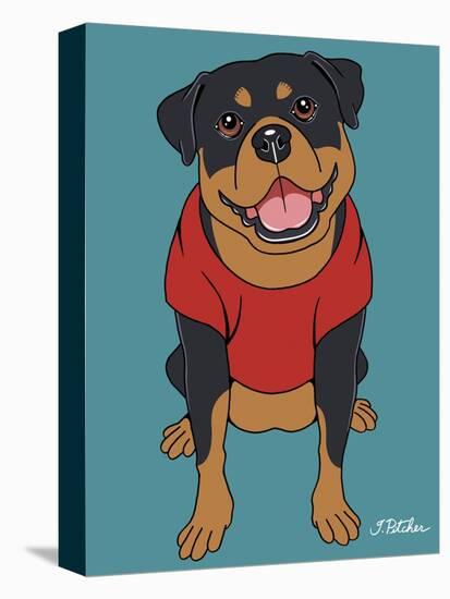 Rottweiler-Tomoyo Pitcher-Stretched Canvas