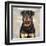 Rottweiler-Keri Rodgers-Framed Art Print