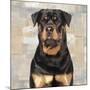 Rottweiler-Keri Rodgers-Mounted Art Print