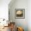 Rotund Bird-Tim Nyberg-Framed Giclee Print displayed on a wall