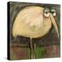 Rotund Bird-Tim Nyberg-Stretched Canvas