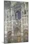Rouen Cathedral (The Portal, Gray Weather)-Claude Monet-Mounted Giclee Print