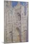 Rouen Cathedral: The Portal (Sunlight), 1894-Claude Monet-Mounted Giclee Print