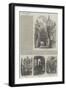 Rouen-Samuel Read-Framed Giclee Print