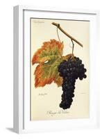 Rouge Du Valais Grape-A. Kreyder-Framed Giclee Print