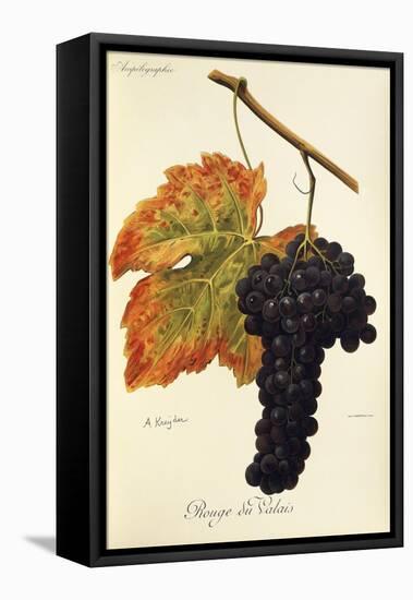 Rouge Du Valais Grape-A. Kreyder-Framed Stretched Canvas