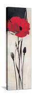 Rouge Floral 1-Ivo-Stretched Canvas