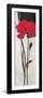 Rouge Floral 2-Ivo-Framed Premium Giclee Print
