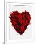 Rouge Heart-Natasha Wescoat-Framed Giclee Print