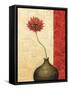 Rouge IV-Delphine Corbin-Framed Stretched Canvas