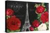 Rouge Paris I Black-Katie Pertiet-Stretched Canvas