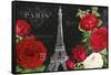 Rouge Paris I Black-Katie Pertiet-Framed Stretched Canvas