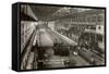 Rouge Steel Plant, Ford-null-Framed Stretched Canvas